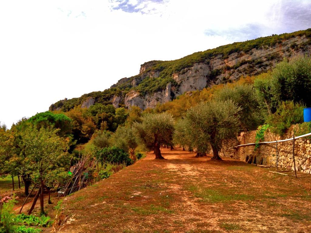 Agriturismo Ca' Magli Villa Orco Feglino Kültér fotó